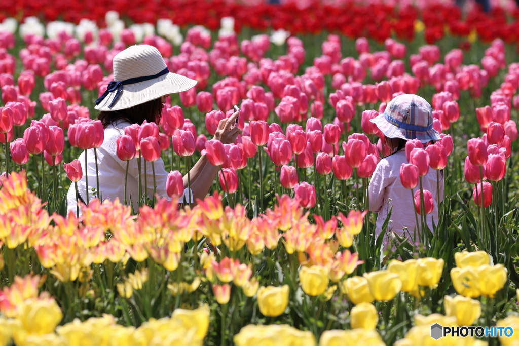 ファインダーの中の劇場　～永遠の花園～