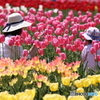 ファインダーの中の劇場　～永遠の花園～