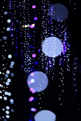 音もなく冬がくる