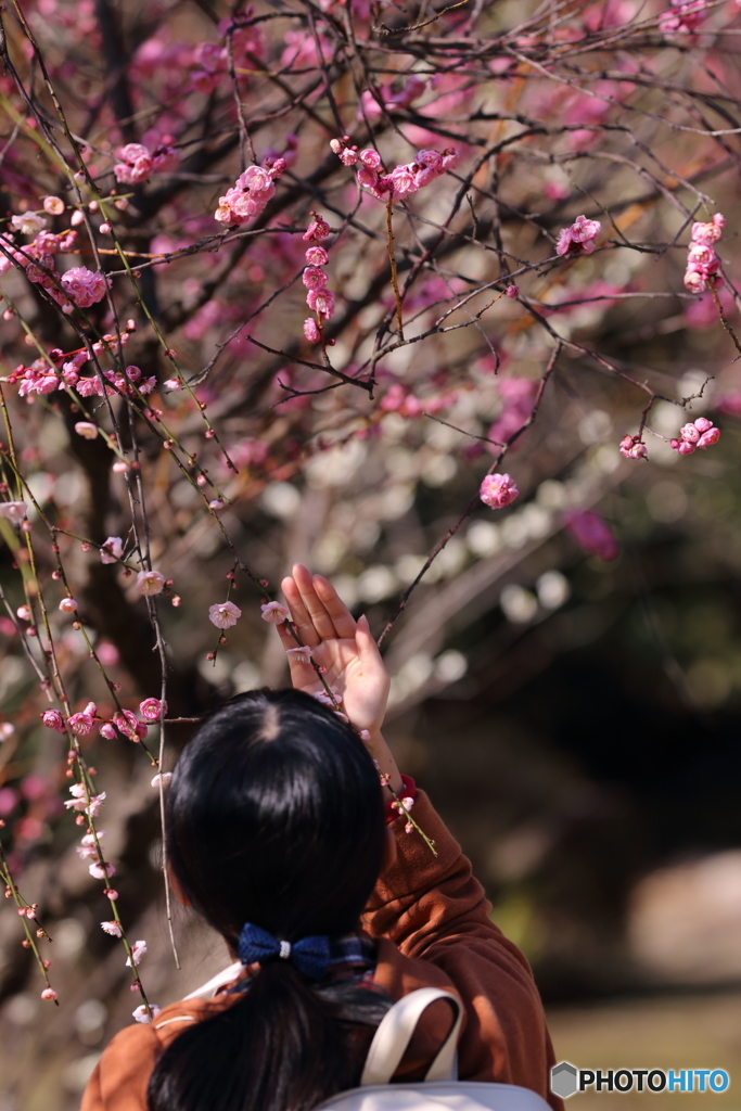 花のような人　～見てよし、香りよし編～
