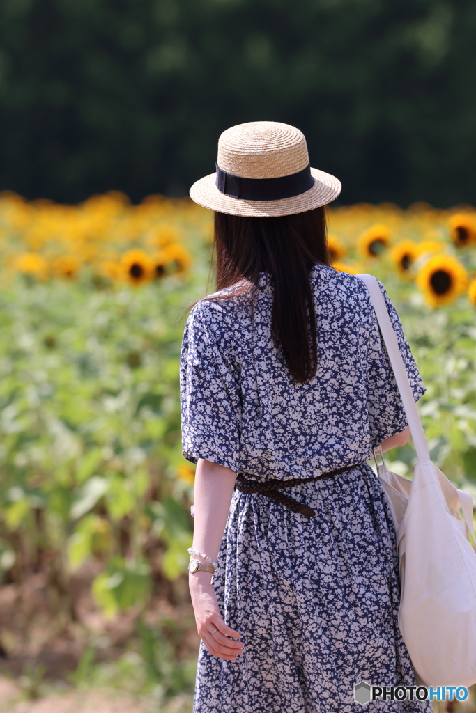 花のような人　～花の地平はるか遠く～