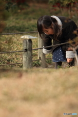 春を探して
