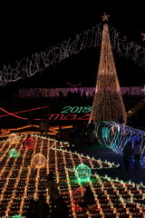 クリスマス・イルミ花盛り