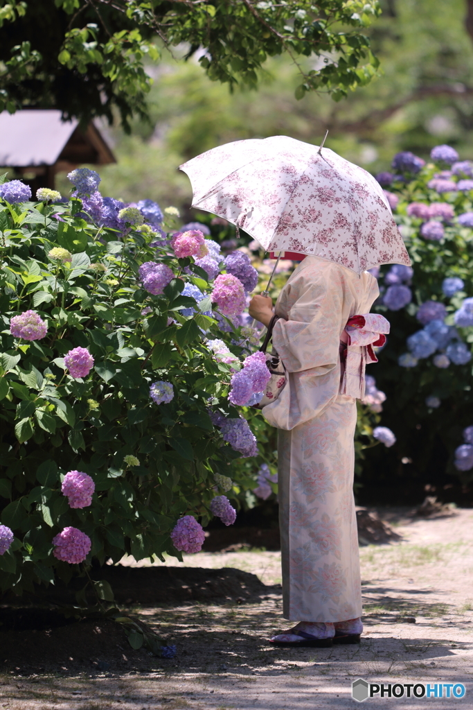 花のような人　～着物美人in吉香公園～