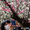 花のような人　～咲き誇る梅よりもなおのひと編～