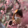 花のような人　～梅林の美髪美人編～