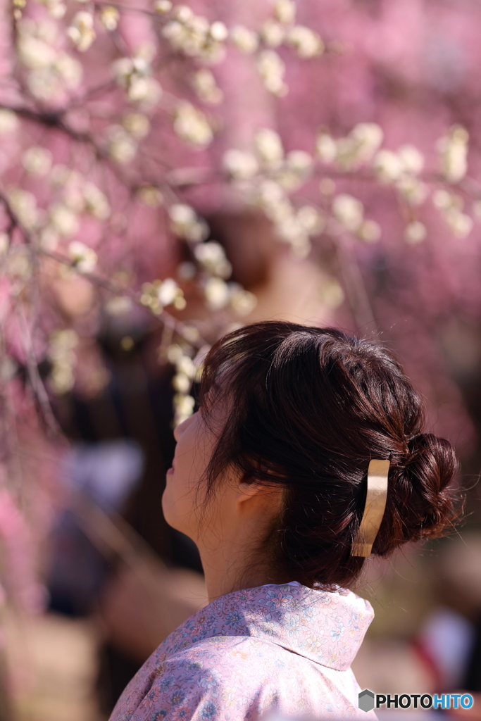 花のような人　～美髪競演・その１～