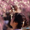 花のような人　～美髪競演・その１～