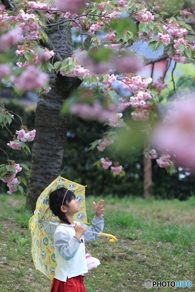 晴れたらいいな