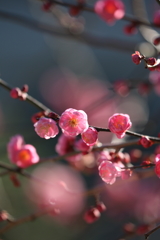 去年の今頃