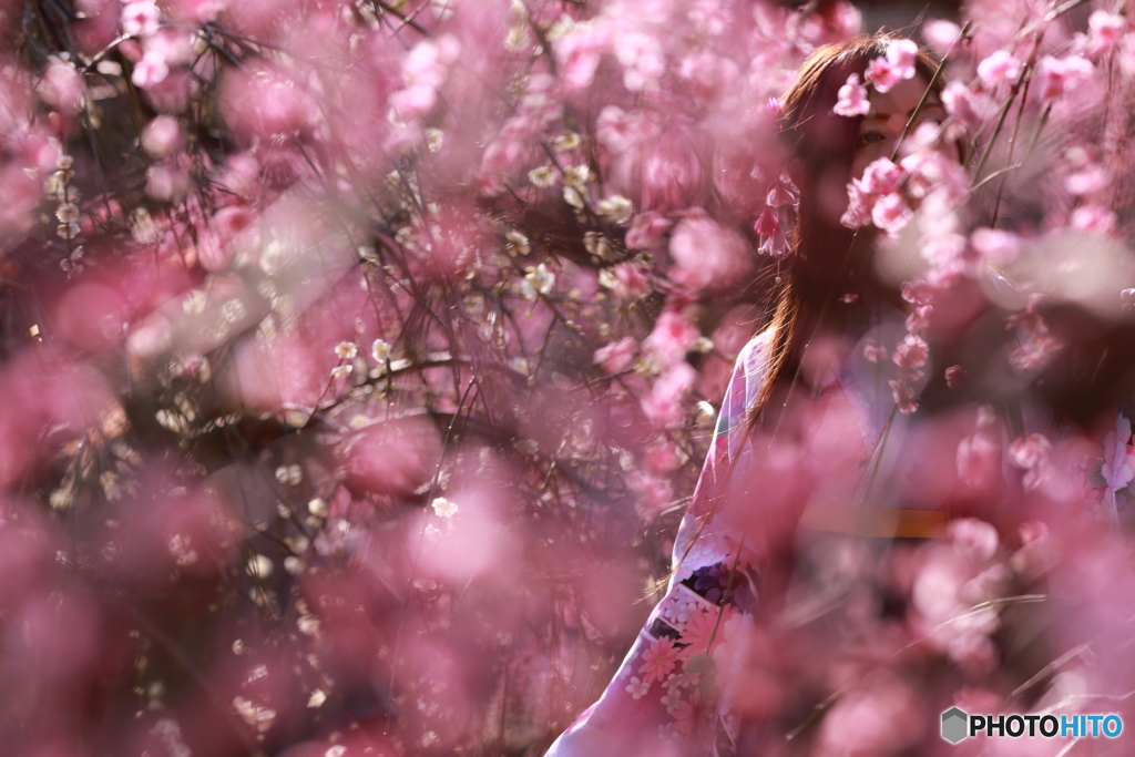 花のような人　～地上に降りた最後の女神編～