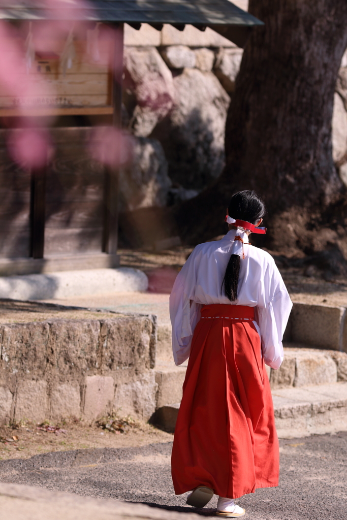 神様は光に宿る 2019
