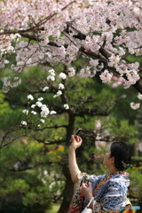 和の美