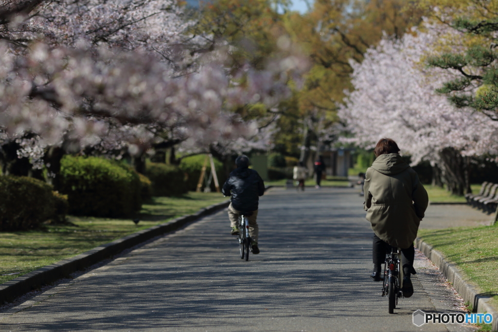 これぞ男の花道言うことなし　～前へ！～