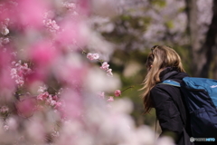 momo blossom その6  ～出会い～