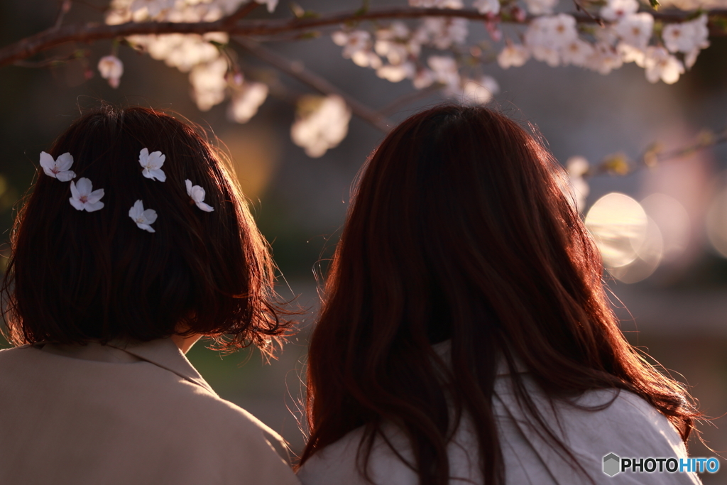 花のような人々　～美髪透過光編～