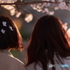 花のような人々　～美髪透過光編～
