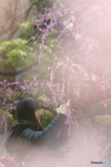 夢の中へ
