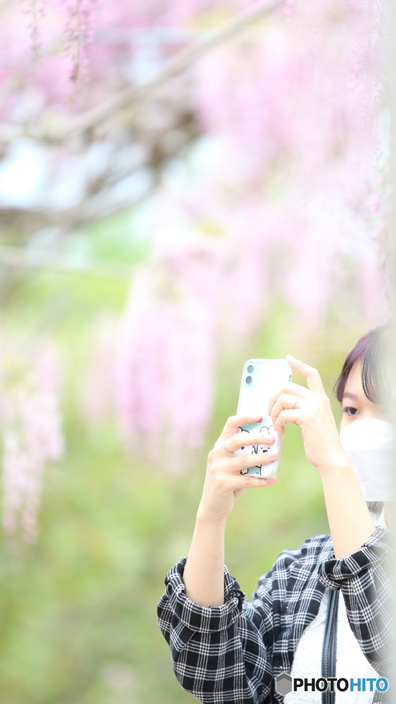 花のような人　～藤棚の美少女編～