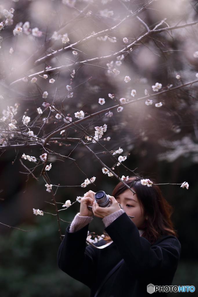 花のような人　～かんざしは白梅編～