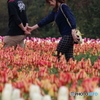 花のような人　～うれしい！たのしい！大好き！～