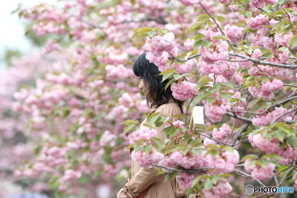 花のような人　～花の中の花編～