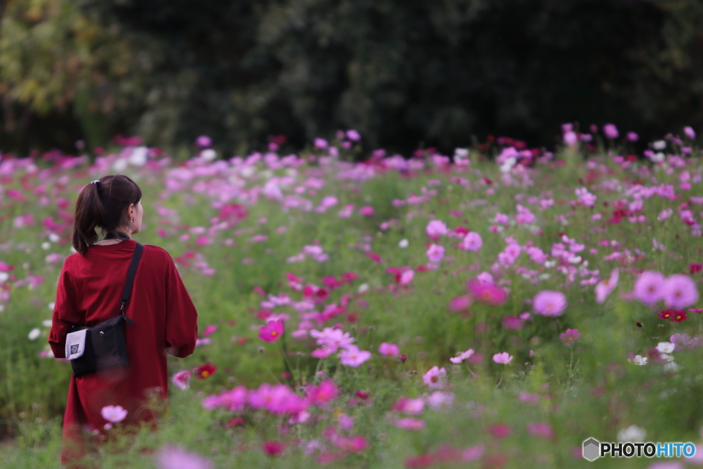 花のような人　～Life is Wonderful編～