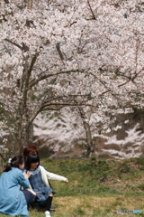 桜咲く笑顔咲く春の日