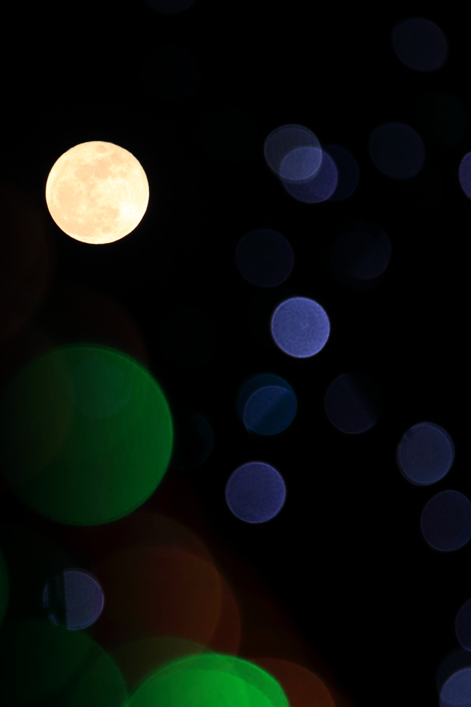 ムーン・チルドレン