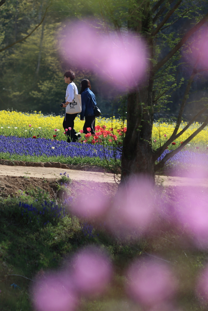ロマンチック・アベニュー