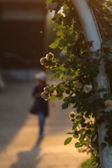 斜光・逆光(人物）