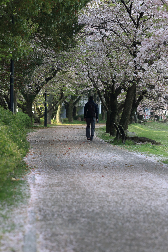 これぞ男の花道言うことなし
