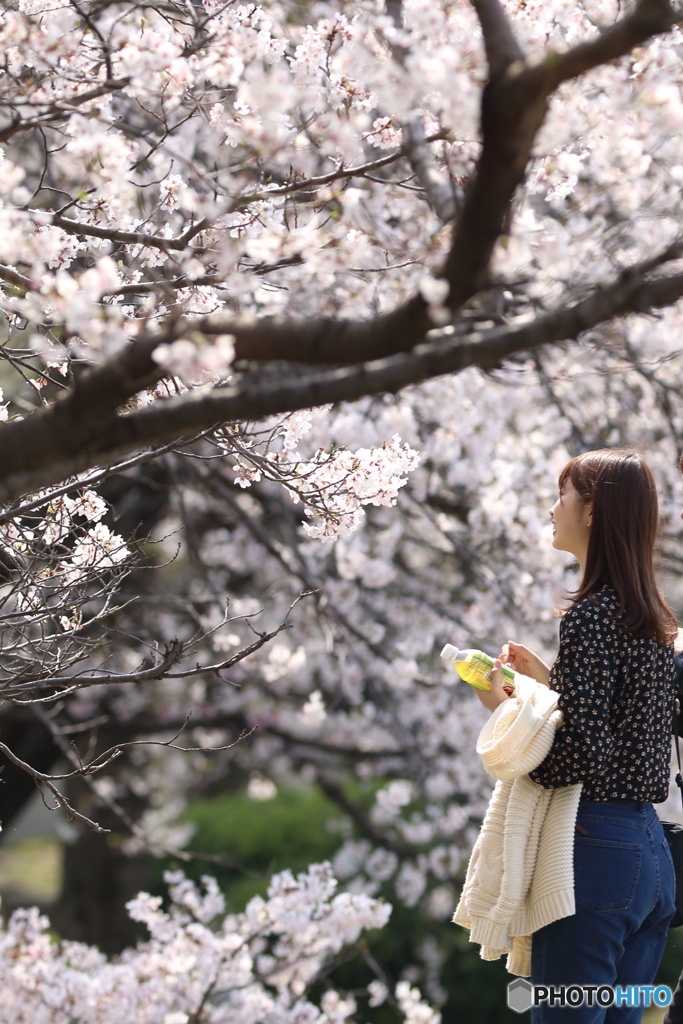 花のような人　～「来年は平穏な春を」編～