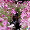 花のような人　～秋桜畑のかくれんぼ編～