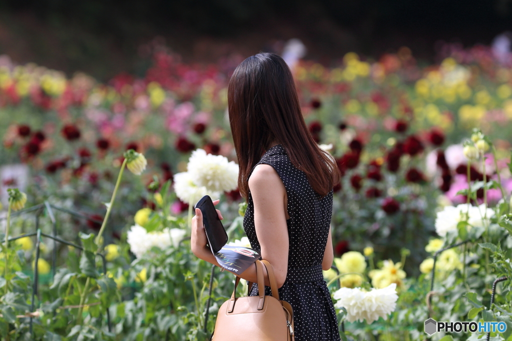 花のような人　～花地平遠く近く～