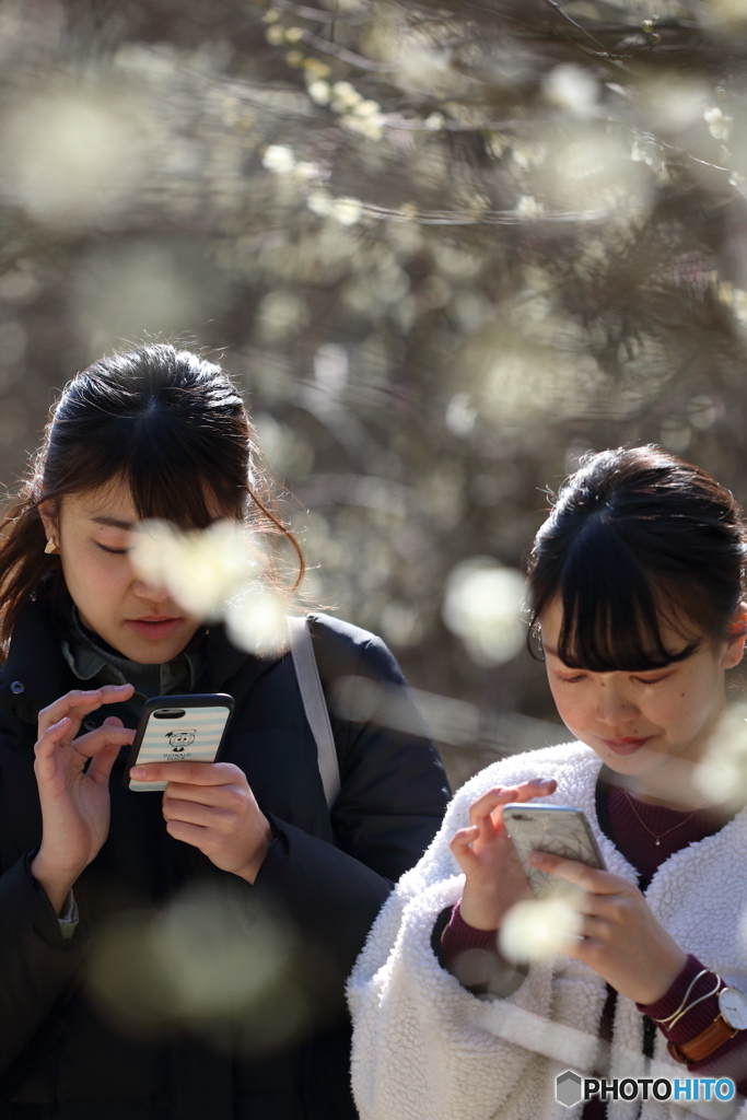 花のような人々　~爽やかな風を呼ぶ人々～