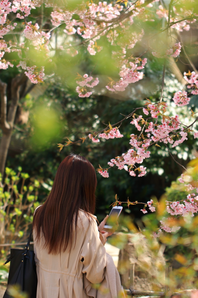 花のような人　～美髪の君～