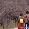 今はもう春
