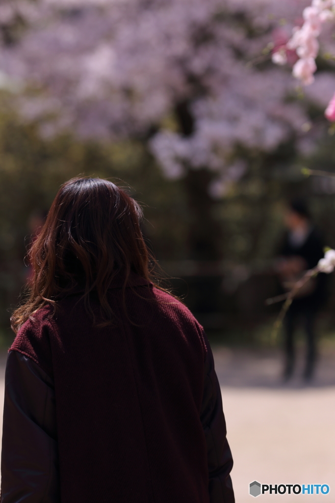 花のような人　～待ち人来る編～