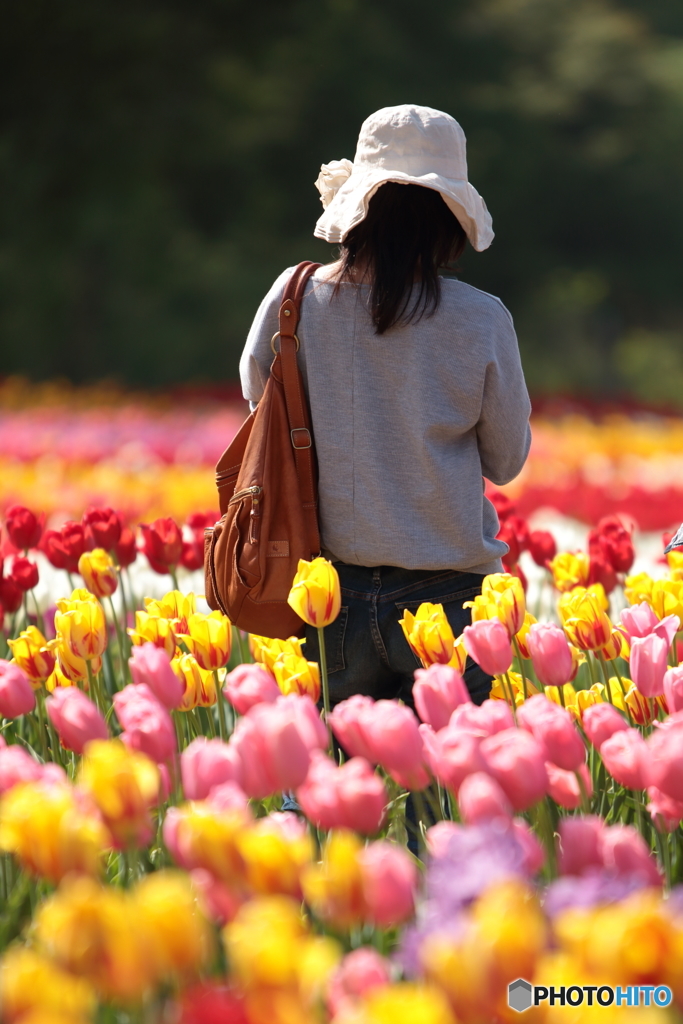 花のような人　～花園の麗人～