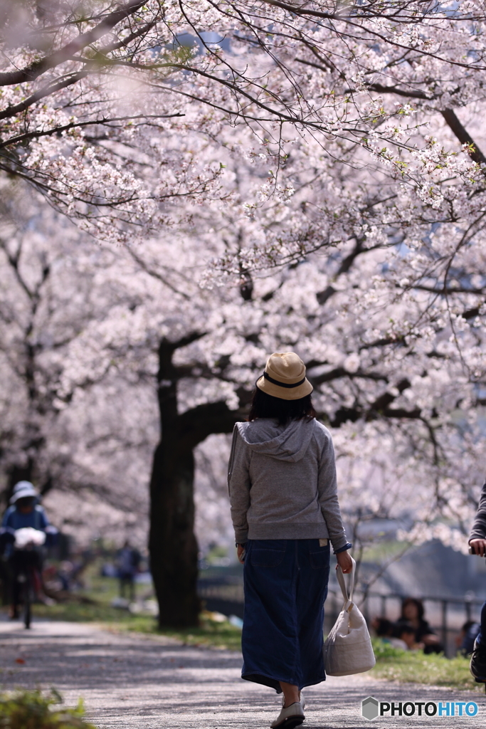 これぞ女の花道言うことなし