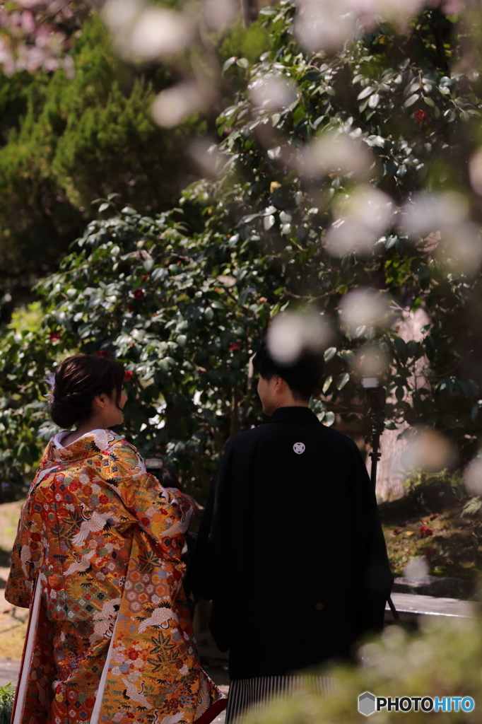 花のような人々　～平成に出会い令和を共に生きる編～