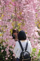 花のような人々　～花鏡編～