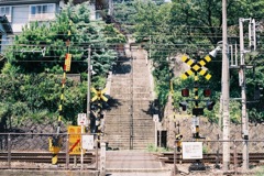 尾道と夏