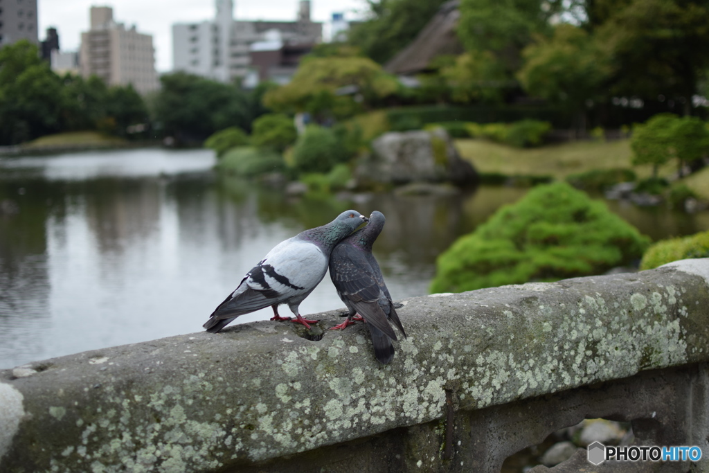 仲良し