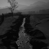 朝靄