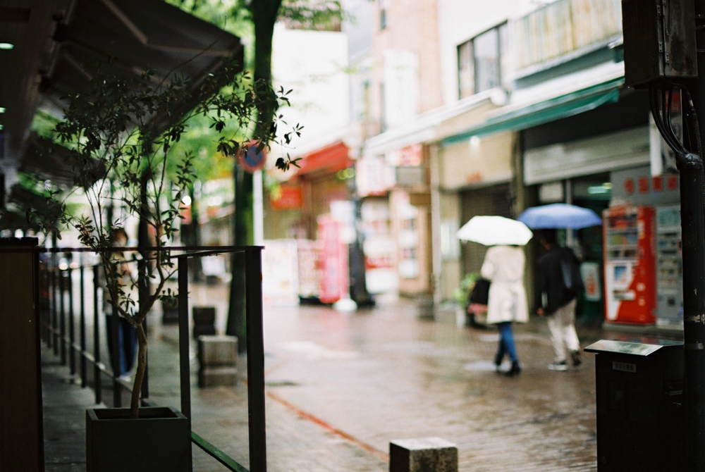 雨