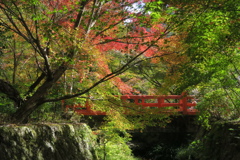 錦の景色