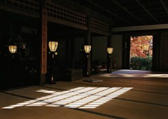 陽だまりと紅葉　其の弐