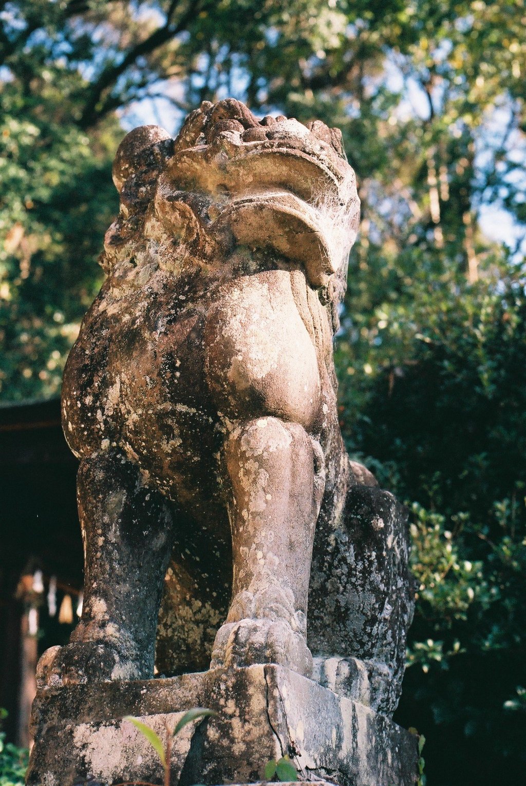 宇治の秋 宇治上神社